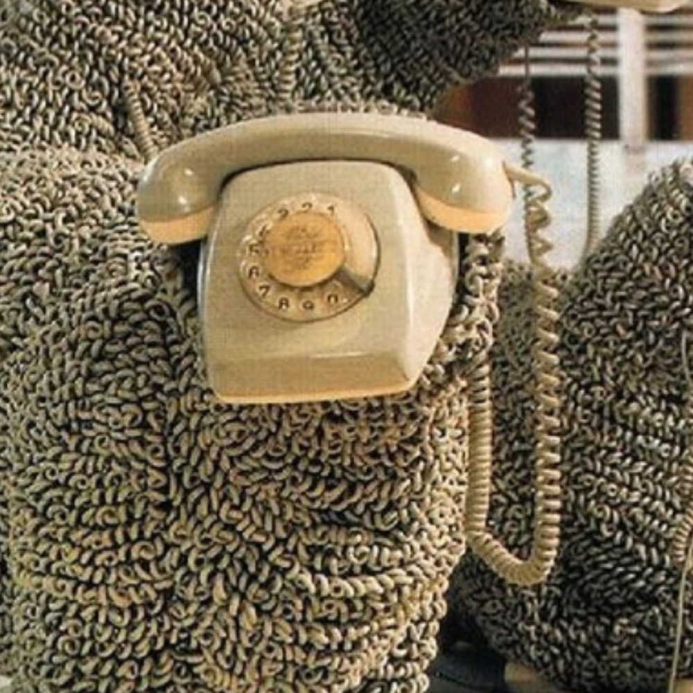 Meet your Posher, Posh